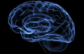 Ansia e il cervello