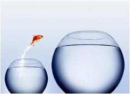 studio psicologia e counseling milano cambiamento