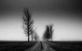 studio psicologia e counseling milano depressione