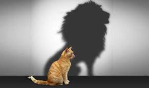 studio psicologia e counseling milano autostima