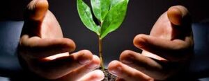 studio psicologia e counseling milano paura di amare