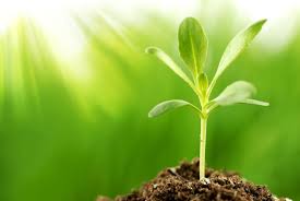 studio psicologia e counseling milano giovani