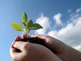 studio psicologia e counseling milano counseling